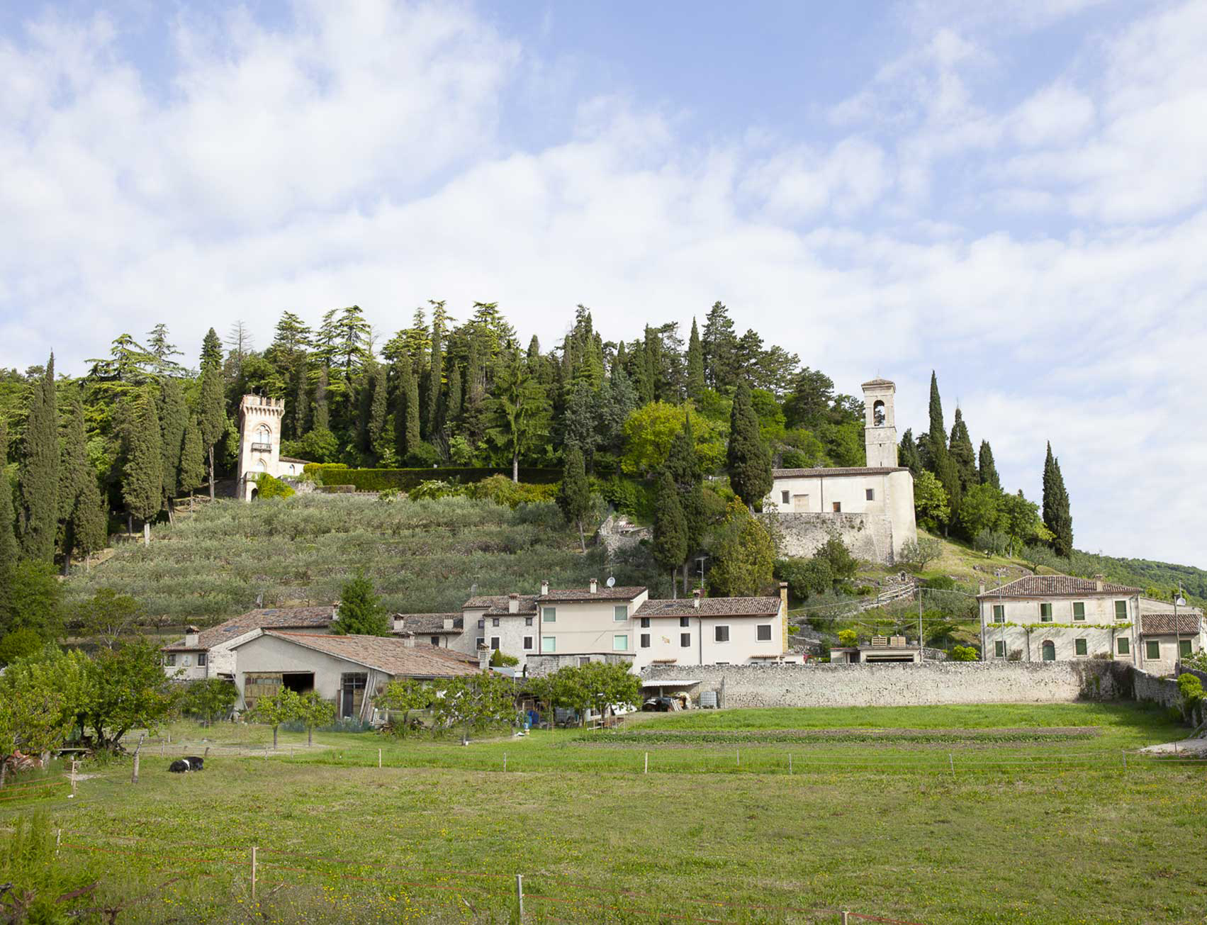 Borgo Terre di Marcemigo Illasi-Verona